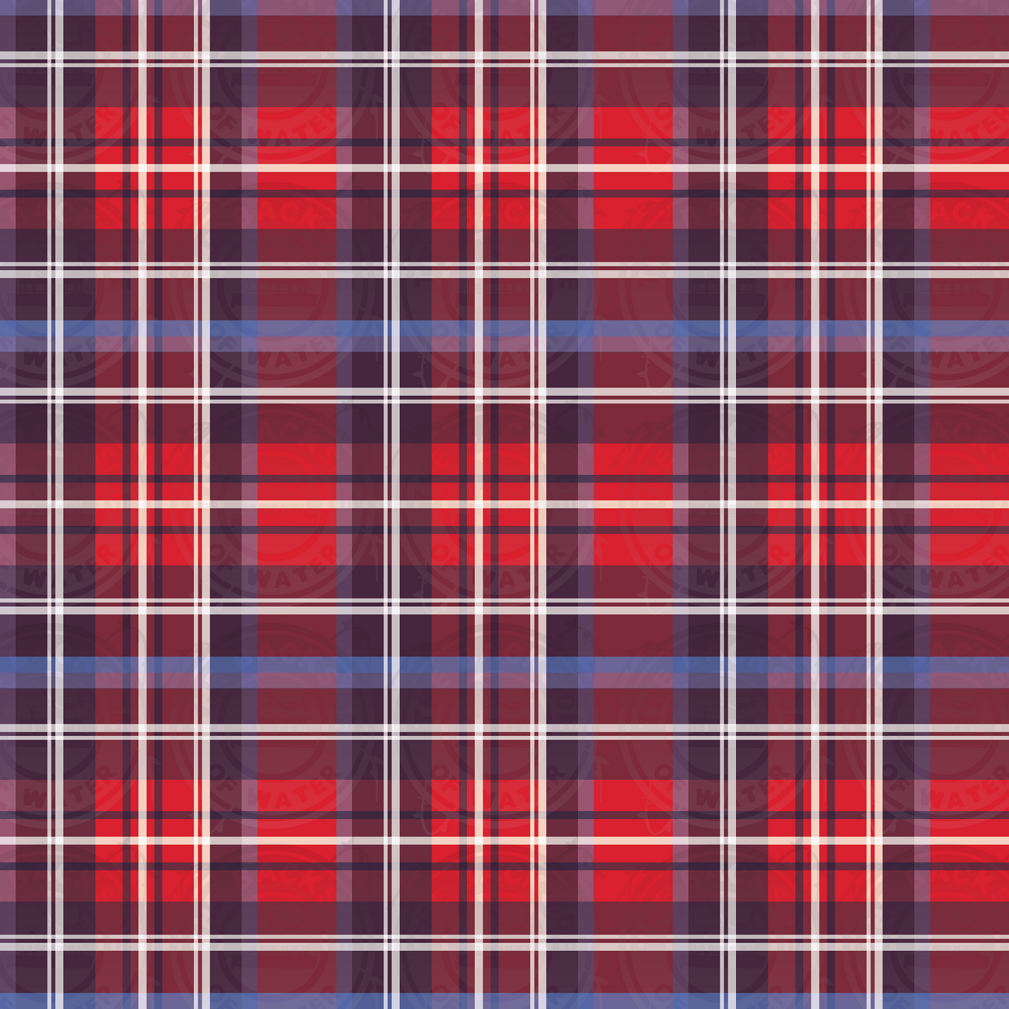 Disney Tour Guide - Plaid