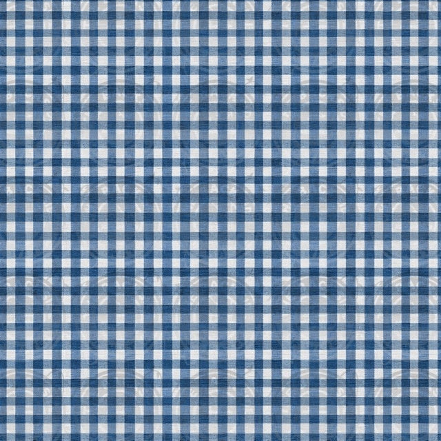 Steamboat Mickey - Plaid