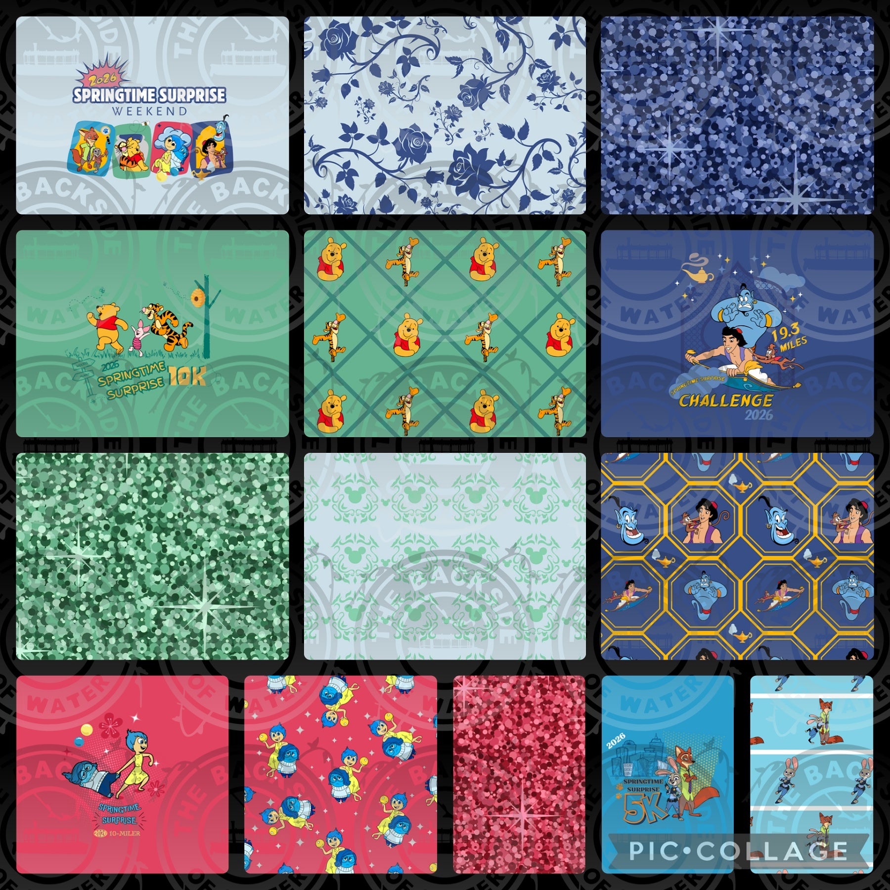 Springtime Flash Flash - runDisney Springtime Surprise 2026 – Backside of Water Fabrics