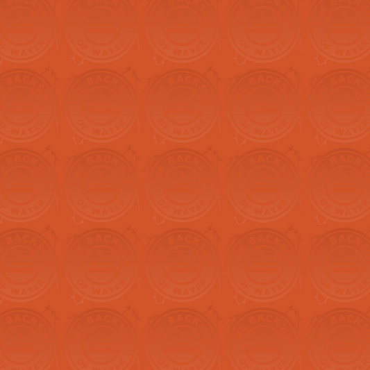 Animal Kingdom Lodge - Solid Orange