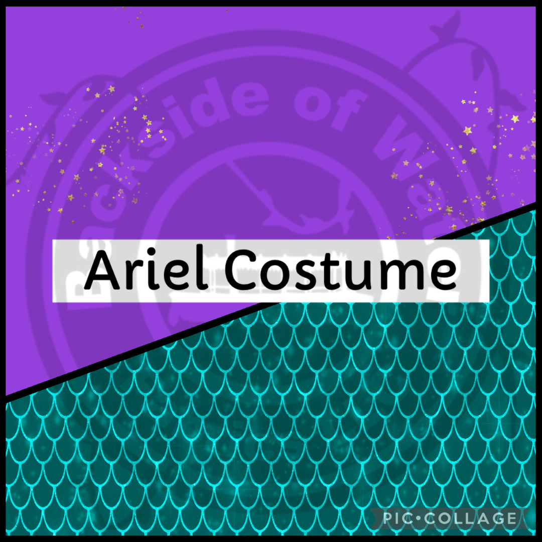 Ariel Costume