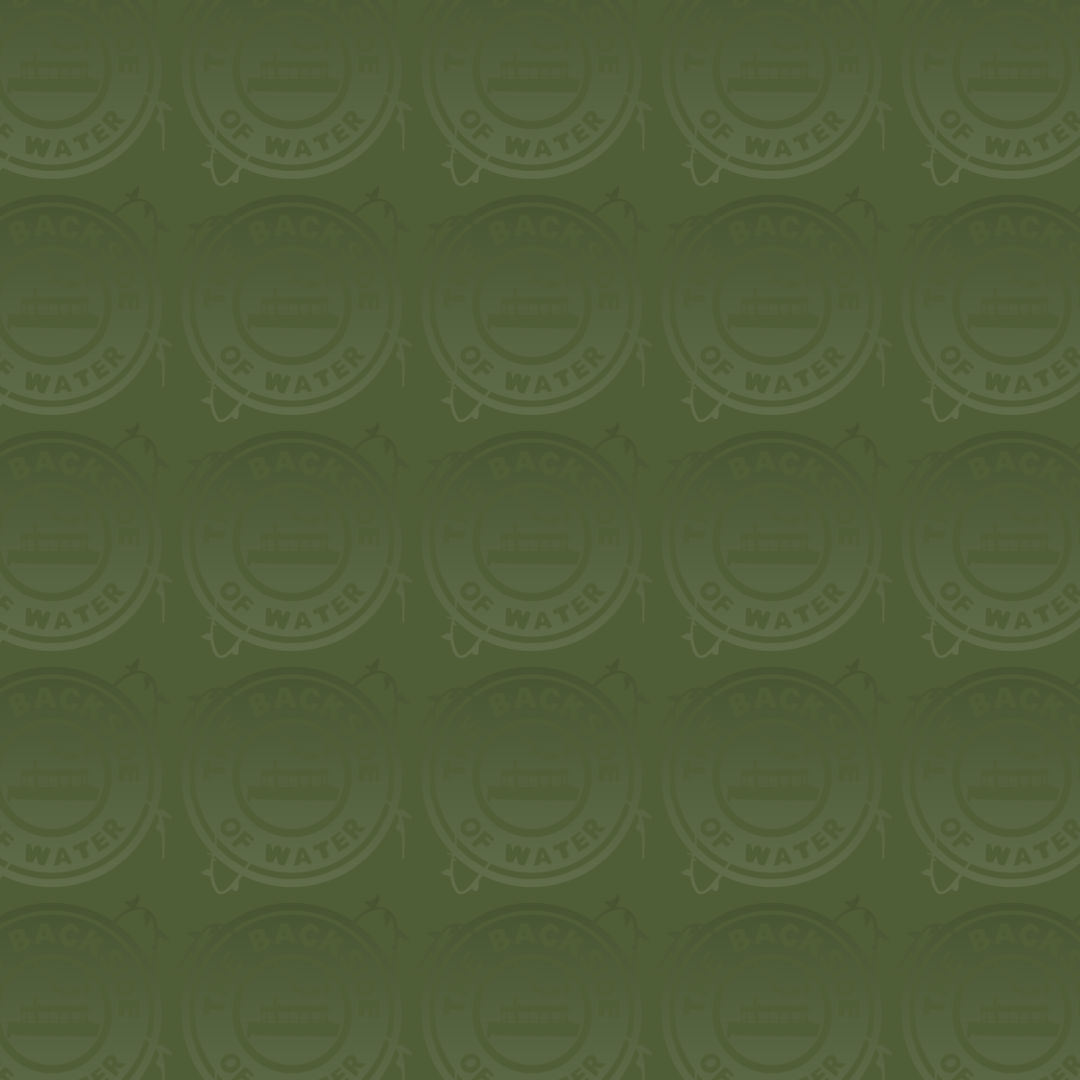 Birdy Paisley - Solid Green