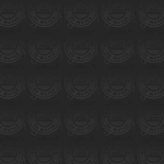 City Mouse - Solid Black