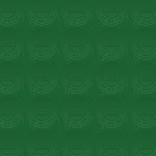 Disney Dooney Dinos - Green Solid