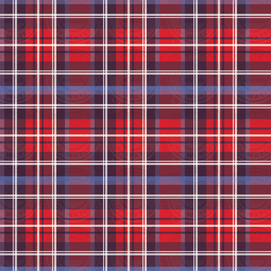 Disney Tour Guide - Plaid