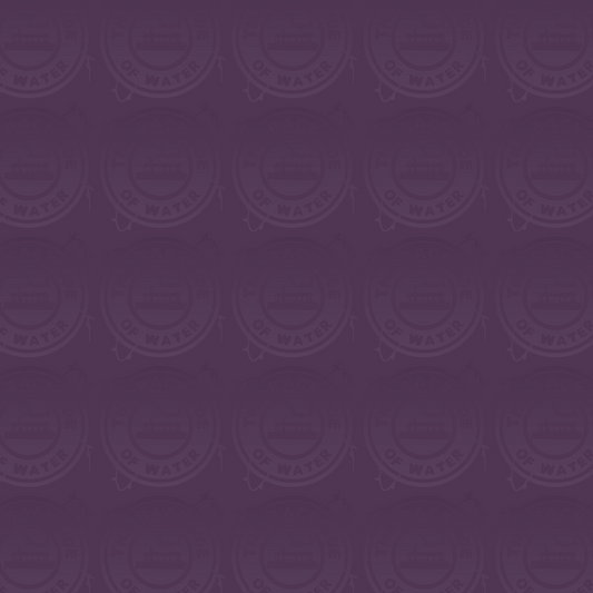 Disney Tour Guide - Purple Solid