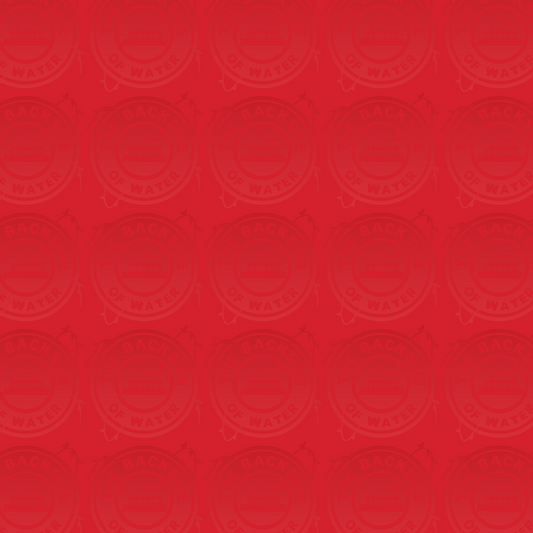 Disney Tour Guide - Red Solid