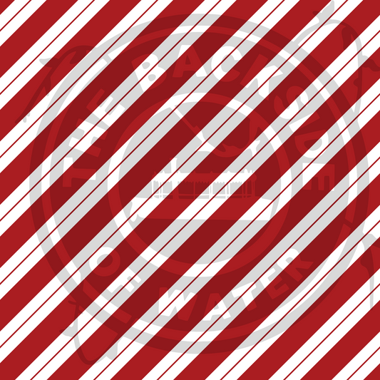 Dzny Holiday 2025 - Candy Cane Stripe