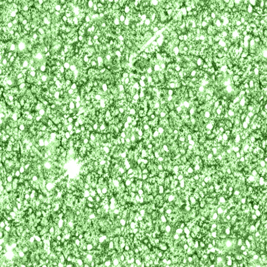 Figment Paisley - Green Glitter
