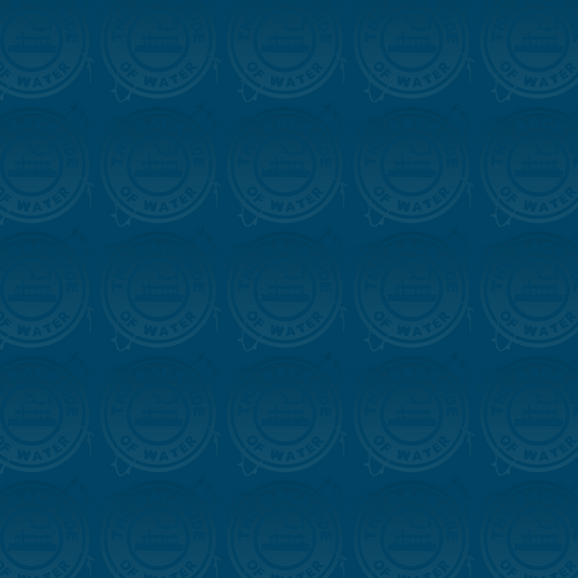 Grand Floridian - Solid Dark Blue