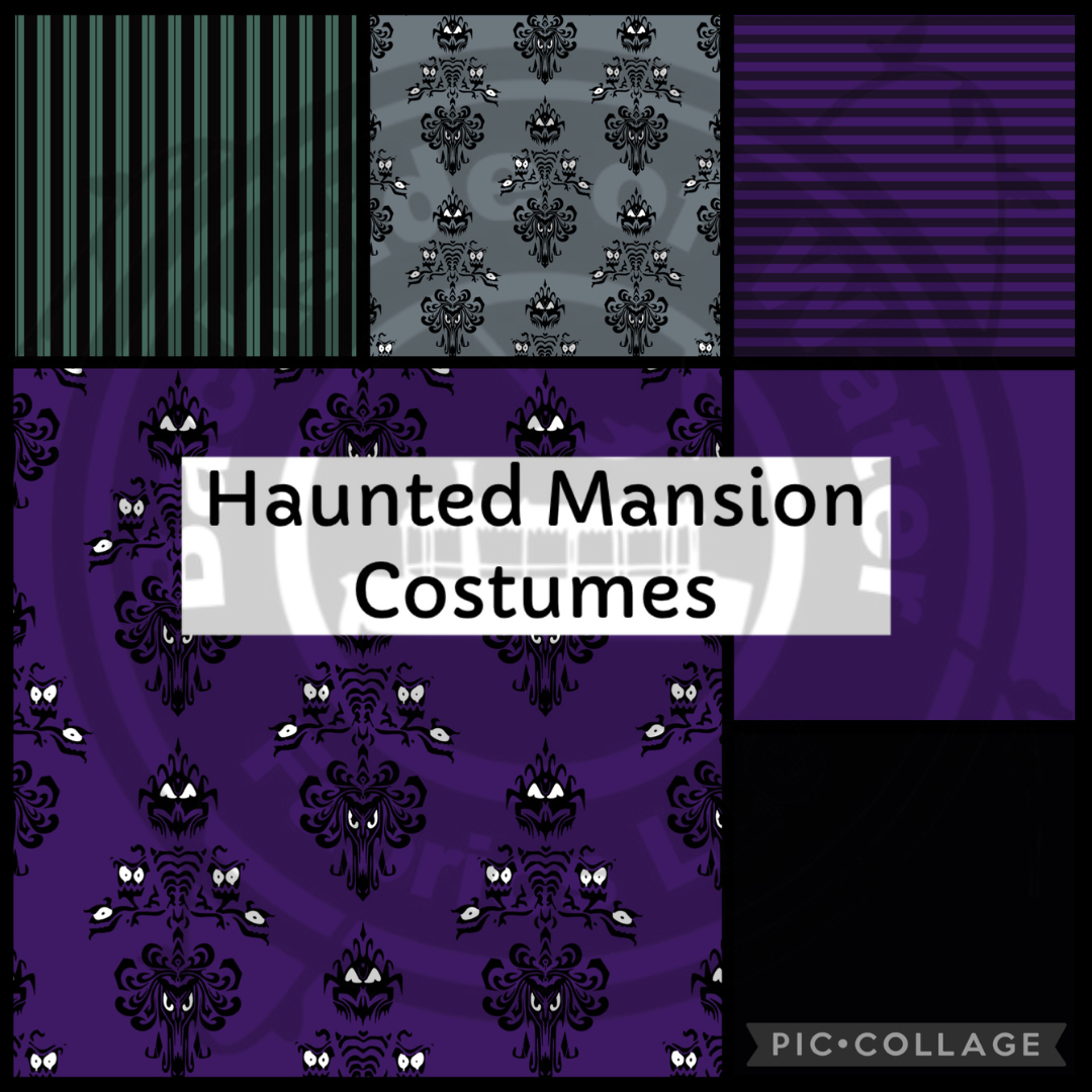 Haunted Mansion Costume