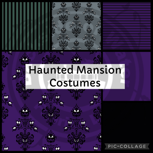 Haunted Mansion Costume