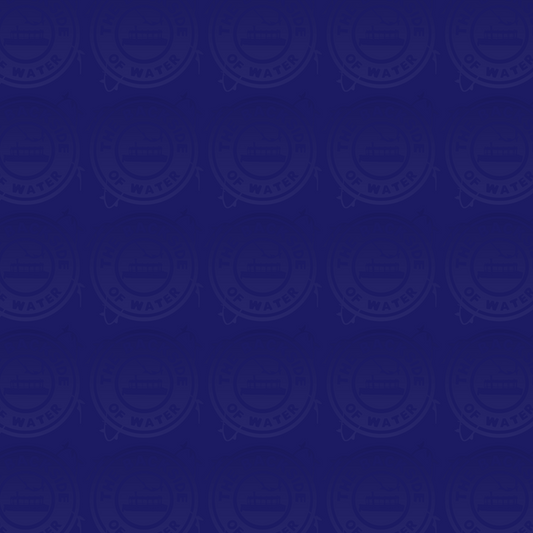 LP Cruise - Navy Solid