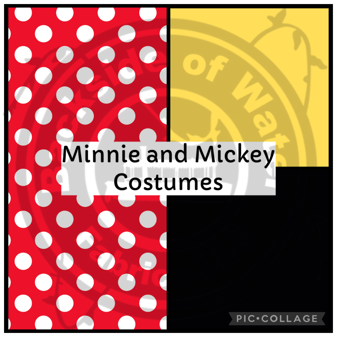Minnie and Mickey Costume