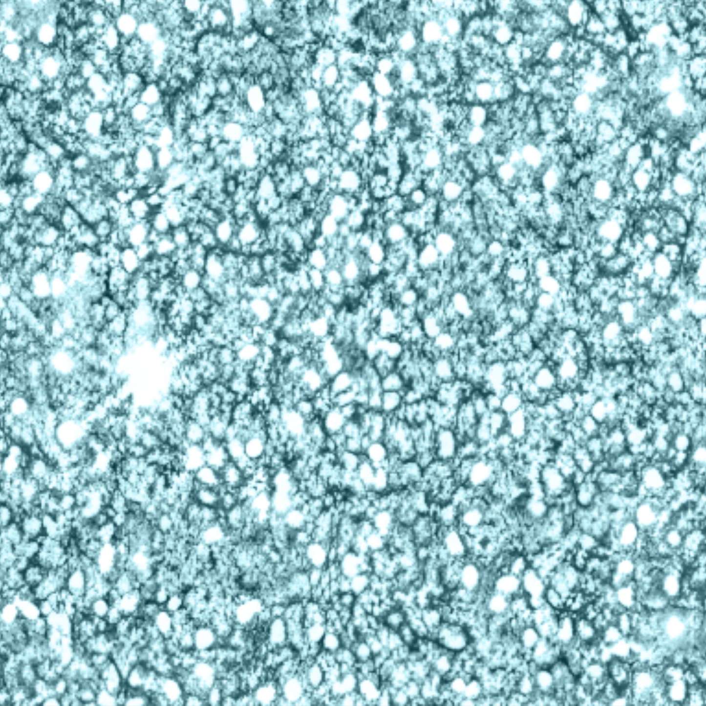Moana - Teal Glitter