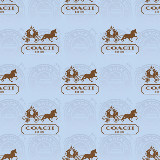 Royal Coach - Blue Carriage Coord