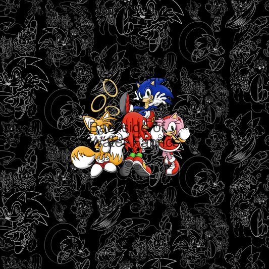 Sonic - Black Friends Panel