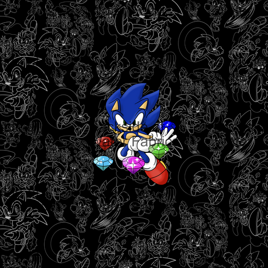 Sonic - Black Sonic Panel