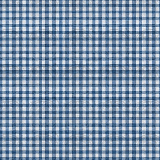 Steamboat Mickey - Plaid
