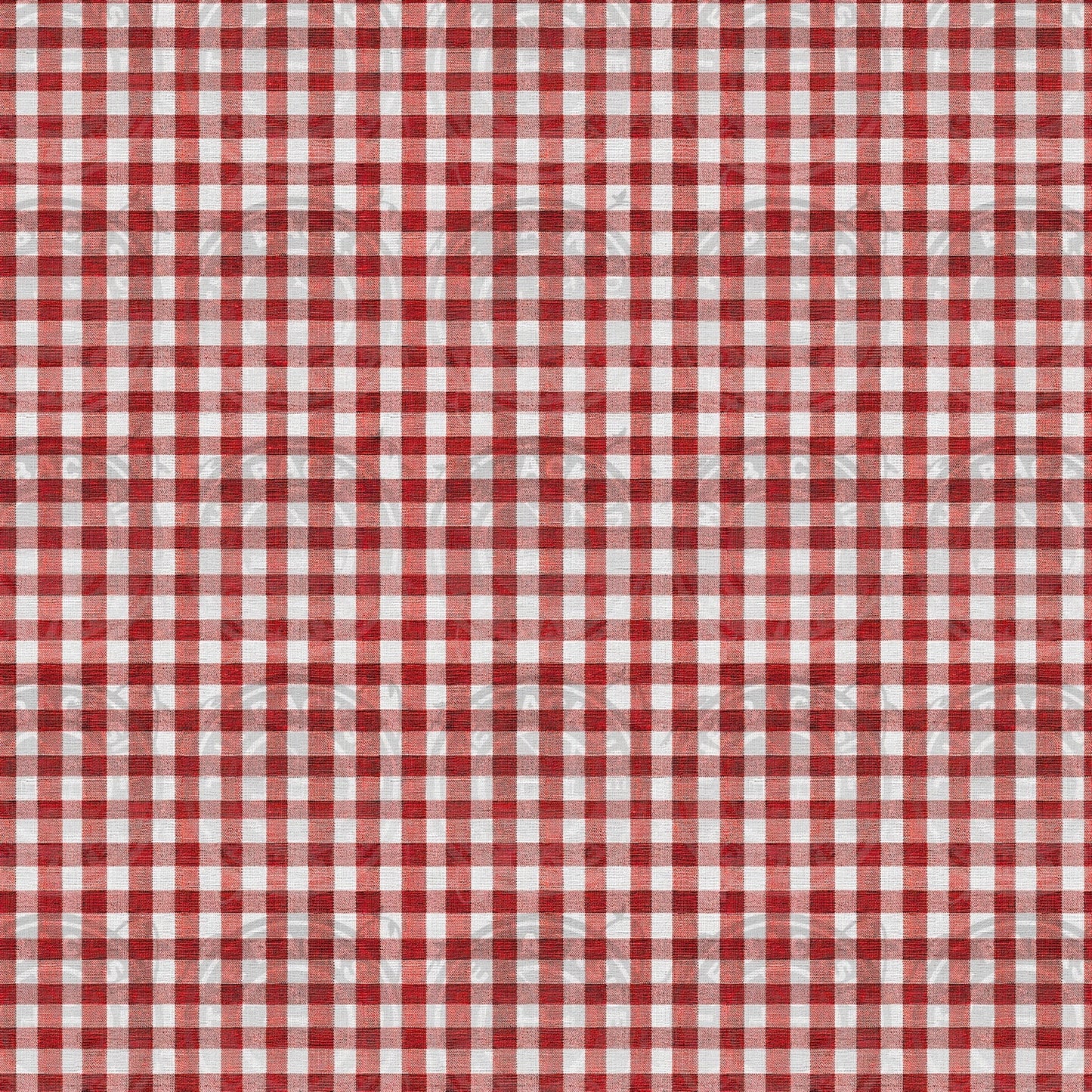 Steamboat Mickey - Red Gingham