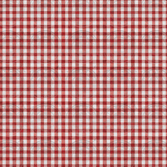 Steamboat Mickey - Red Gingham