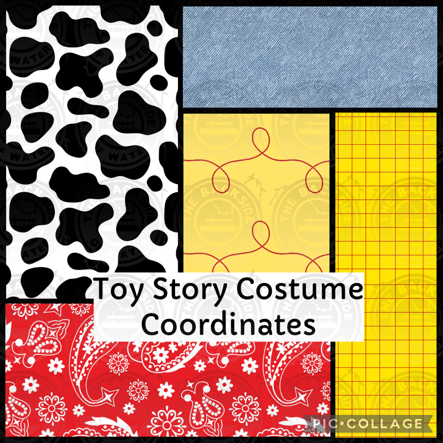 Toy Story Costume