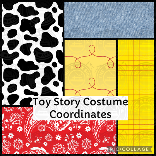 Toy Story Costume